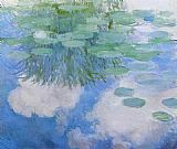 Water-Lilies 37